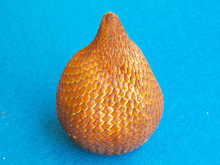 snakefruit, สกุลสละเปรี้ยว, ผลไม้ผิวงู, อินโดนีเซีย, ปาล์มสลัก