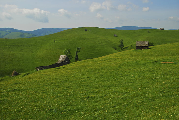 Landschaft, Schafstall, rustikale, Berg, Natur, Ländliches Motiv, Grass