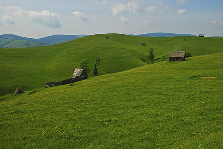 landscape, sheepfold, rustic, mountain, nature, rural Scene, grass