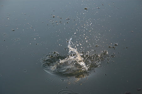 vatten, droppar, Splash, rörelse