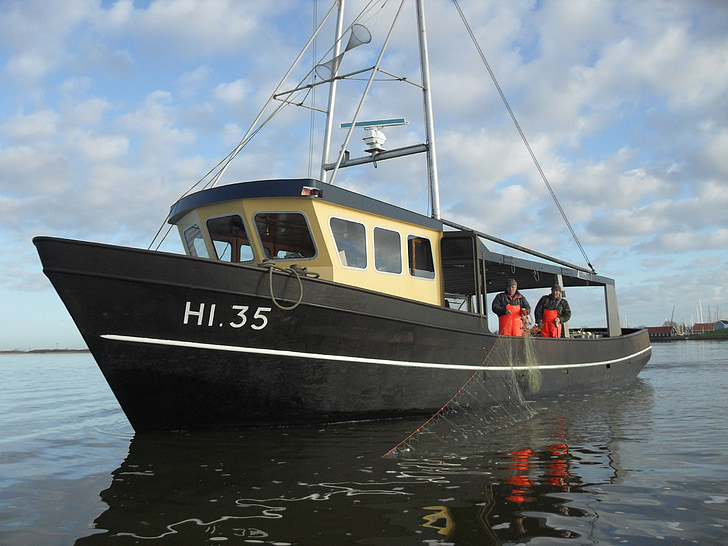 IJsselmeer, Visser, pescado