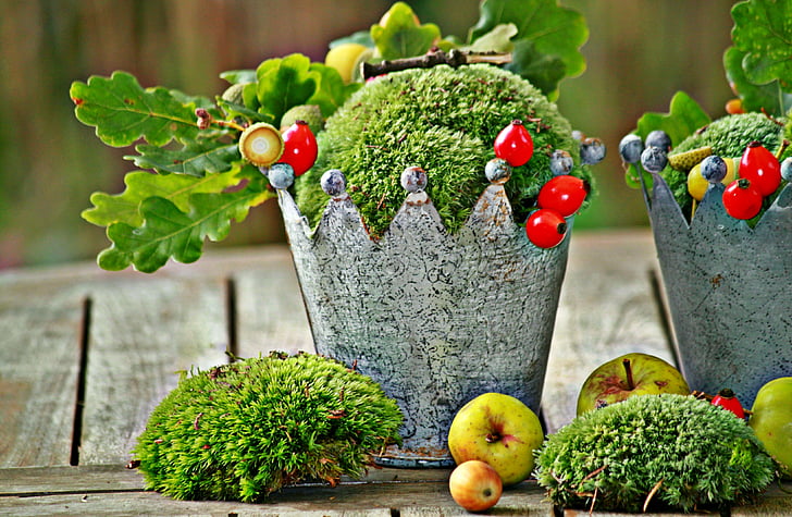 Sonbahar, sonbahar dekorasyon, Dekorasyon, meyve, Şükran günü, kuşburnu, Bahçe