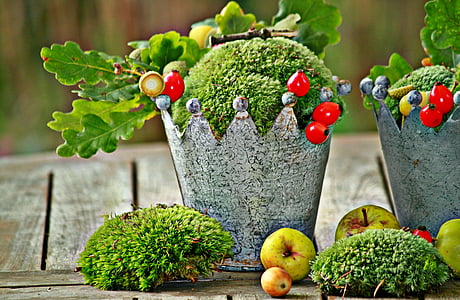 jeseni, Jesenska dekoracija, dekoracija, sadje, zahvalni dan, Šipkove, vrt