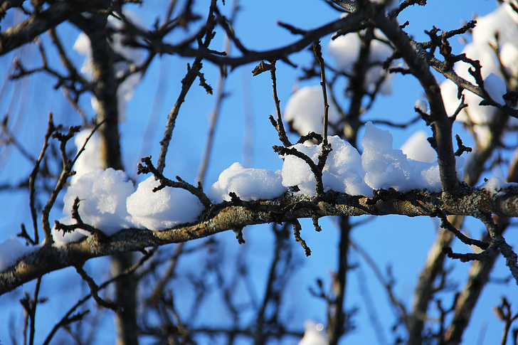 sneh, zimné, za studena, krásny, biela, unikátne, Dalarna