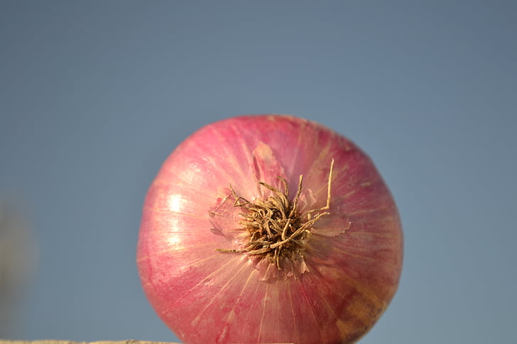 onion, vegetables, nature, red