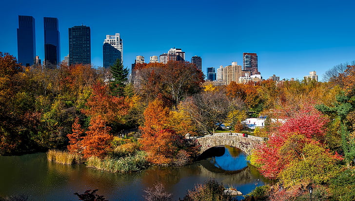 městský, na podzim, podzim, barevné, stromy, Manhattan, destinace