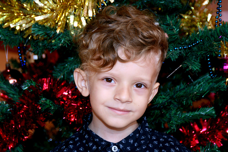 boy, christmas, christmas tree, decorations