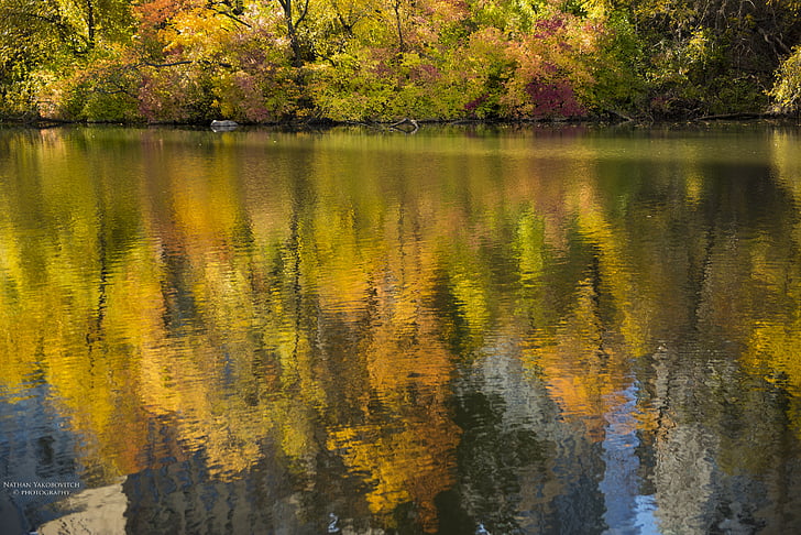 reflection, water, fall, landscape, relaxation, peaceful