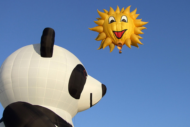 balloon, usa, hot air balloon