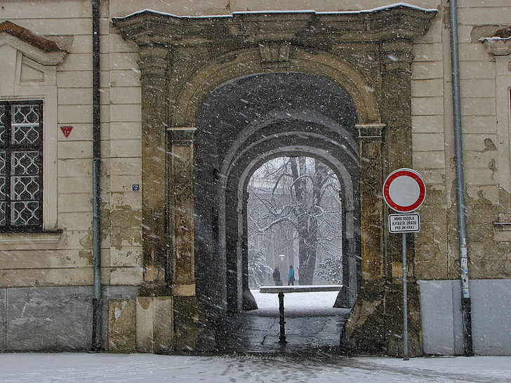 neu, Parc, Tor, nevant, carrer, l'hivern