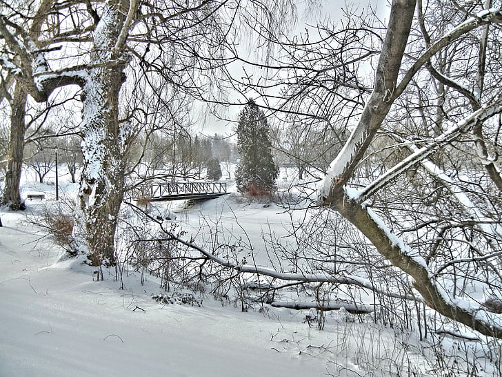 pont, paysages d’hiver, Canada