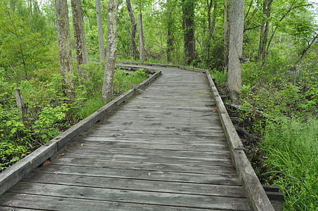 pedestrian bridge, wood, path, forest