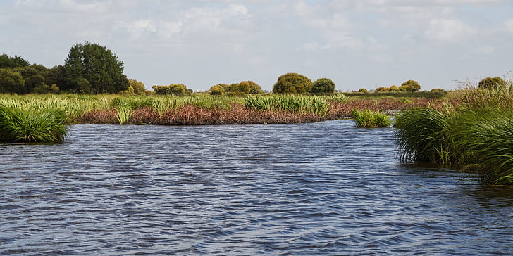 marsh, brière, loire atlantique, water, landscape
