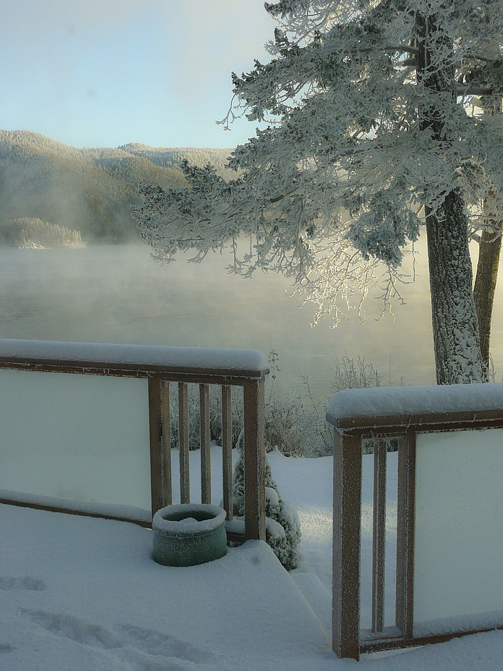 Zimní, sezóny, Frosty, stromy, Příroda, canim jezero, Britská Kolumbie