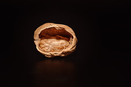 walnut, empty, open, empty walnut, close