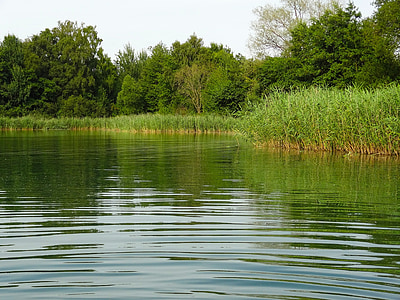 jazero, Reed, vody, letné, Dovolenka, zvyšok, obnovenie