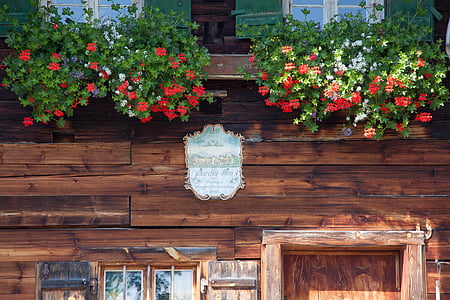 Alm, skydas, gėlės, gėlių dėžės, kultūra, Aukštutinė Bavarija, medienos