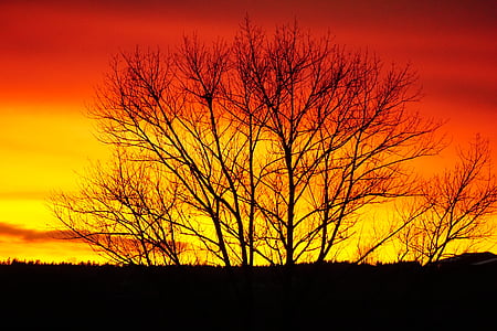 Západ slunce, abendstimmung, obrázek na pozadí, Westerwald, oranžová, Afterglow, silueta