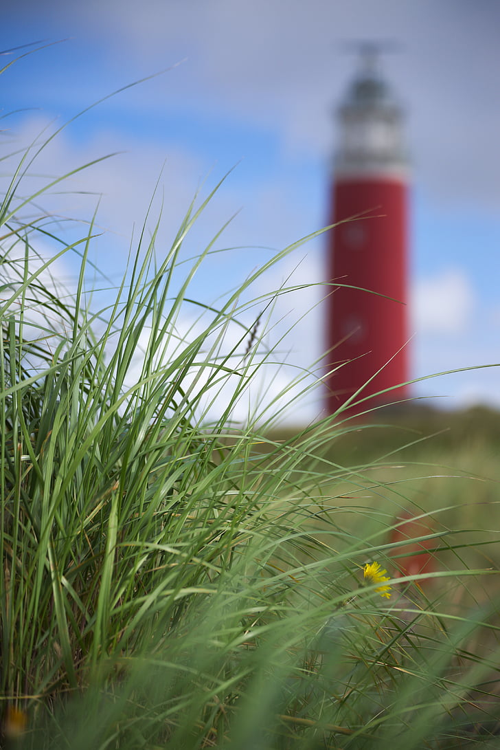Texel, klitterne, sommer, Lighthouse, græs, Holland, turisme