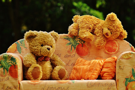 oso de, sofá, osos, dulce, lindo, felpa, Teddy