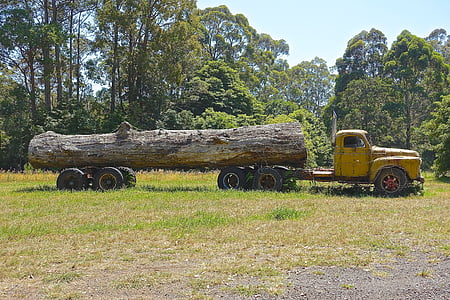 Log truck, vraget, logføring, lastbil, Log, tømmer, transport