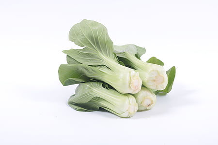 bok choy, vegetable, salted vegetables, white background, food and drink, healthy eating, food