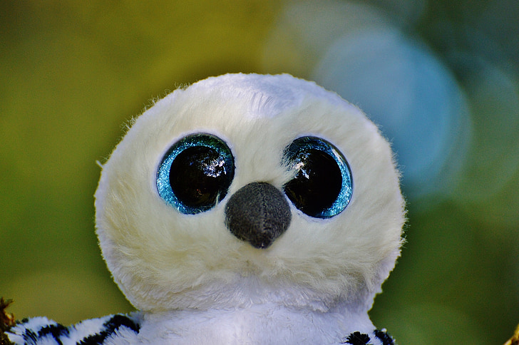 Snowy owl, Branco, pássaro, pena, olhos de brilho, bicho de pelúcia, brinquedo macio