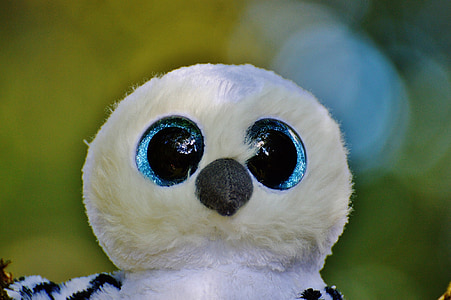 Snowy owl, trắng, con chim, lông vũ, đôi mắt Long lanh, thú nhồi bông, đồ chơi mềm