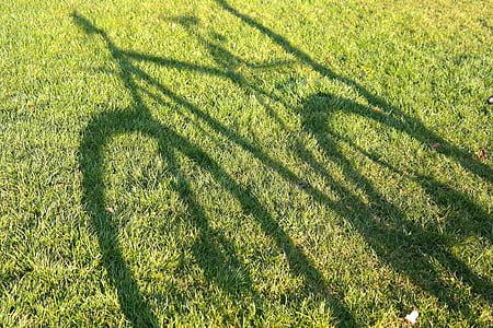 bike, mountain bike, hispanic, wheel, grass, meadow, shadow