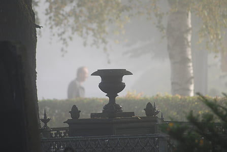 tåge, kirkegård, lys, atmosfære