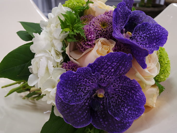 orquídea, buquê, azul, flores, floral