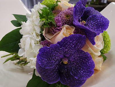 Orchid, buket, blå, blomster, blomstermotiver