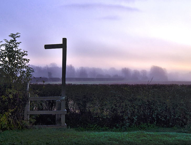 signpost, dawn, morning, misty, mist, nature, countryside