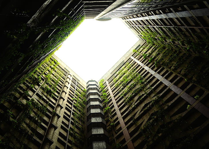 architectural, photo, high, rise, building, nature, high rise