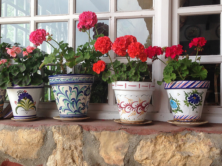 fiori, primavera, fiore, natura, giardino, pianta, Bloom