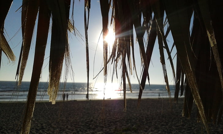 Playa, puesta de sol, mar, luz de fondo