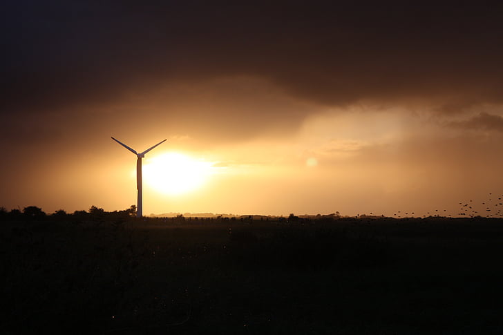 solnedgång, Danmark, miljö, turbin, Windmill