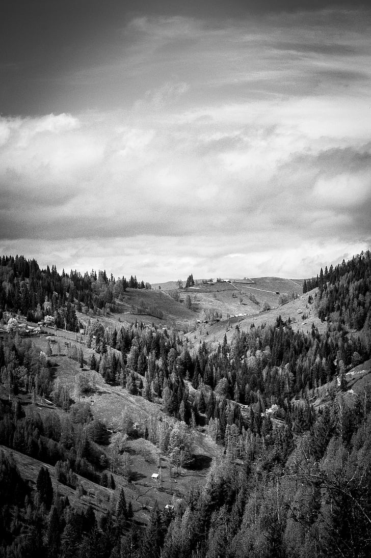black-and-white, clouds, forest, hills, landscape, mountains, nature