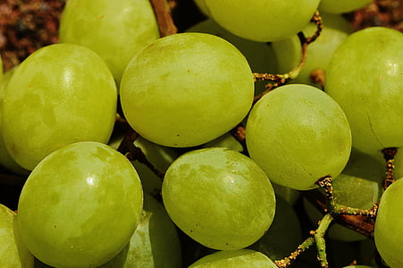 grapes, fruit, table grapes, ripe grapes, green, green grapes, nature