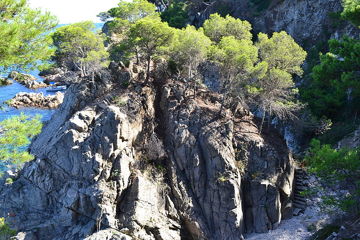 ø, Rock, Cliff, fyrretræ, havet, natur, Middelhavet