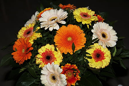 jesenné kvety, Gerbera, Kytica, Kytica Gerbera, kvety, Farba, mnohých farieb