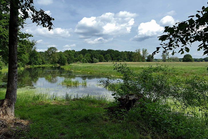 rybník, jezero, krajina, Biotop