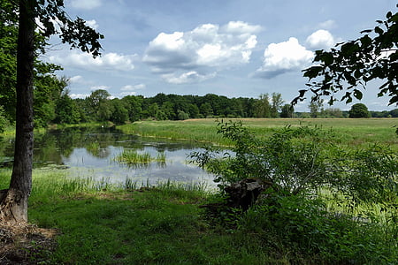 Teich, See, Landschaft, Biotop