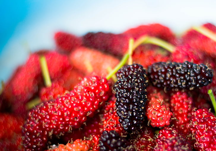 Mulberry, frugt, jordbær, rød, friskhed, mad og drikke, close-up