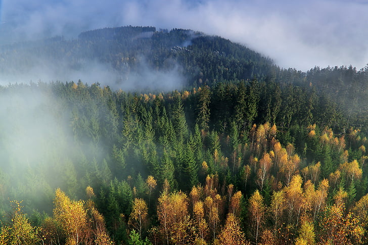 το φθινόπωρο, βουνά, η ομίχλη, δάσος, φύση, τοπίο, Προβολή