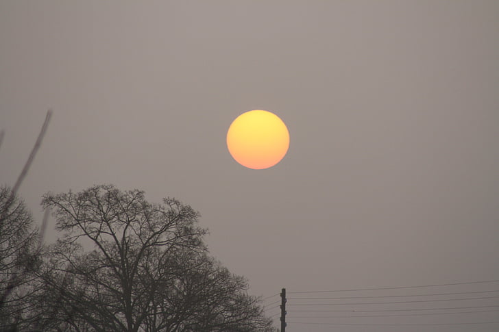 sunrise, morning sun, sun, landscape, fog
