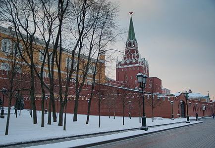 moscow, wall, kremlin, tower, winter, bare tree, snow