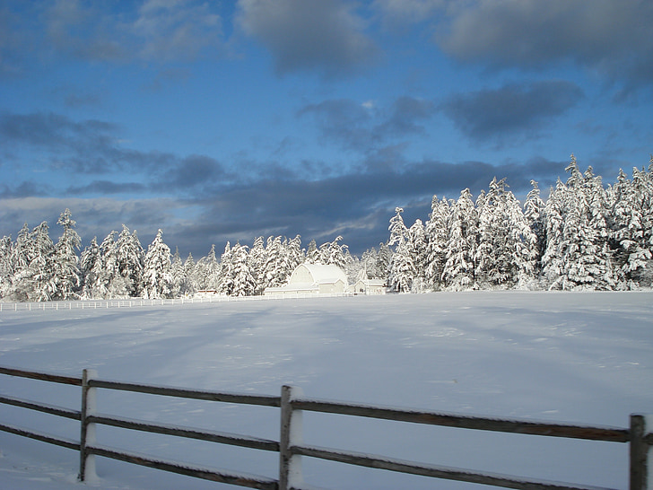 sneeuw huis, Ranch, winter, kalmerend, landschap, wildernis, landschap