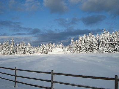 maison de neige, Ranch, hiver, calmant, paysage, nature sauvage, paysage