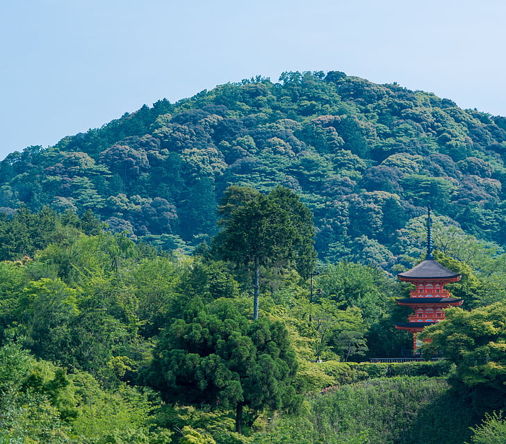 Kioto, Japonija, kalnai, kraštovaizdžio, Kiyomizu šventykla, Azija, Japonų